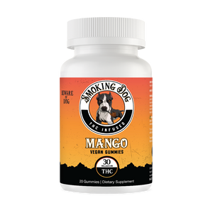 THC Gummies Mango 30mg THC