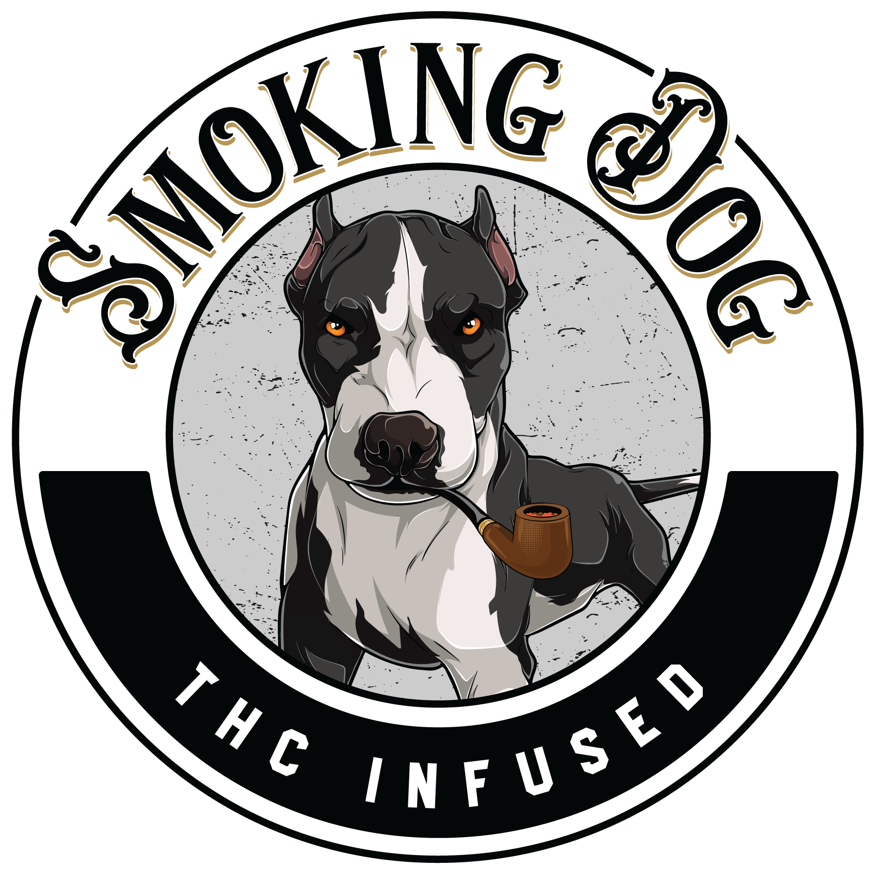 Smocking Stray Dog Smoking Weed