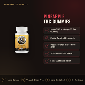Smoking Dog Pineapple THC gummies infographic: 10mg thc + 10mg cbd per gummy, key facts