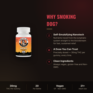Why choose Smoking Dog Mango THC gummies