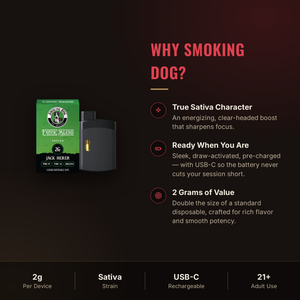 Why choose Smoking Dog Jack Herer disposable vape